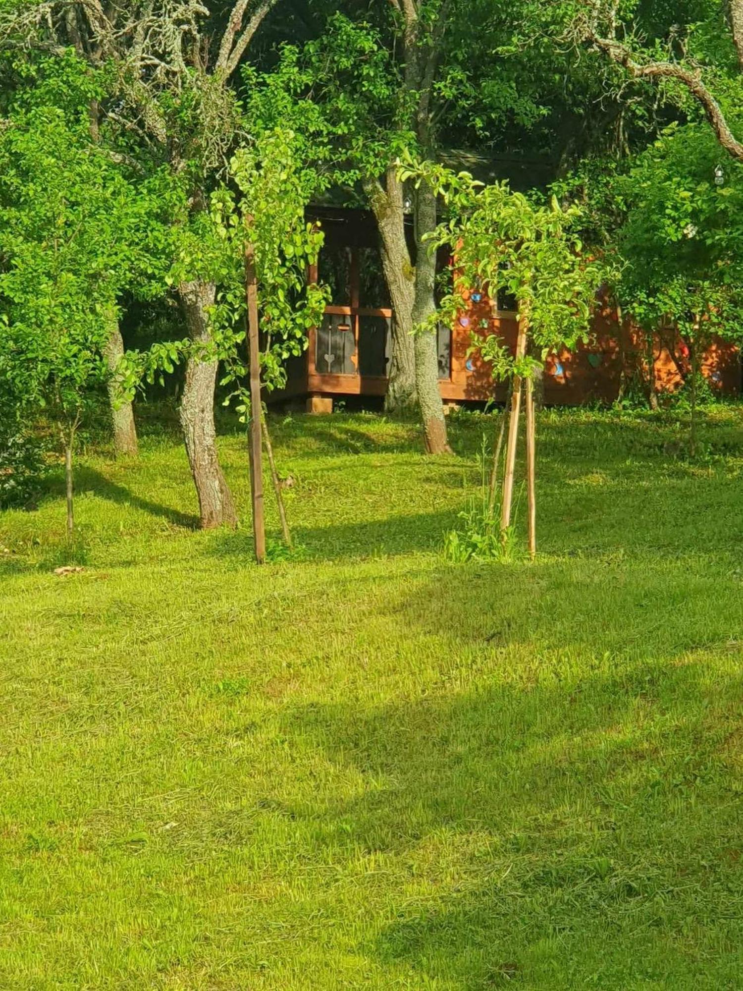 Apartments Sarika Dlha Ves Bagian luar foto